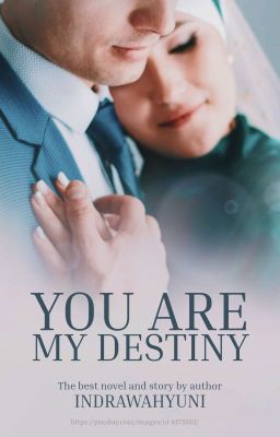 You are My Destiny (SudahTerbit)