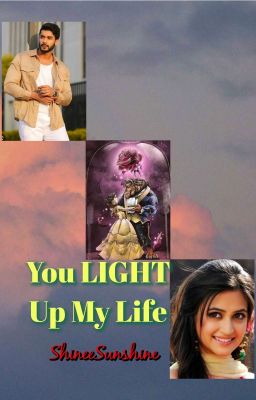 ꧁ You LIGHT Up My Life ꧂ (#6 in SGO Series) ✓