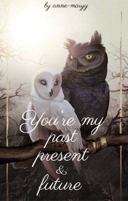 You're my past, present and future (HP/ Rumtreiber FF)