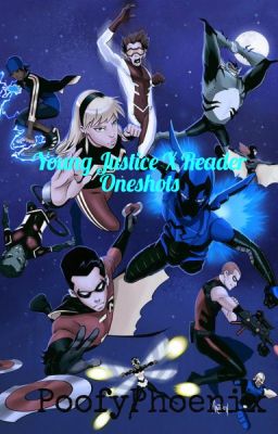 Young Justice X Reader~ Oneshots