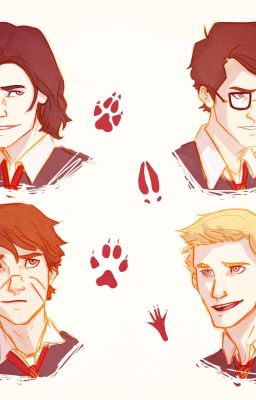 Young marauders xreader one shots!