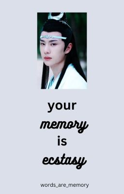 your memory is ecstasy | wangxian