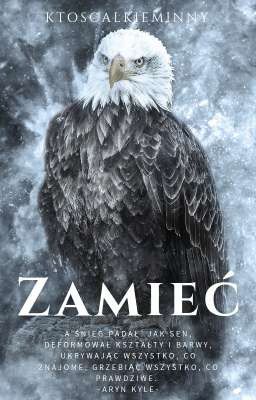 Zamieć | The Witcher