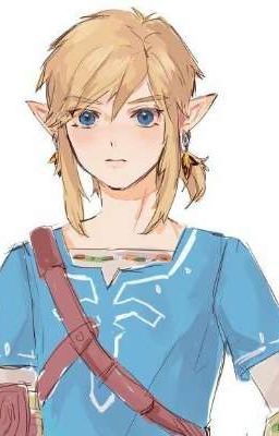 Zelda BOTW Magischer Hylianer ( Zelink )