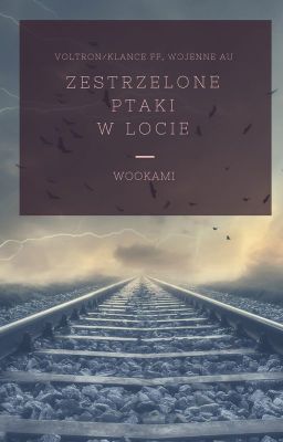 Zestrzelone ptaki w locie || Voltron || Klance √