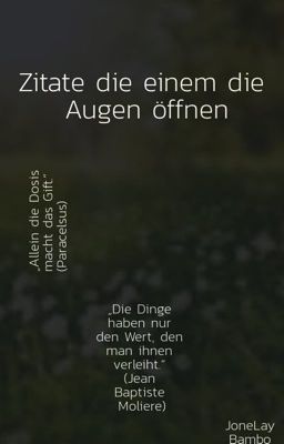 Zitate die einem die Augen öffnen