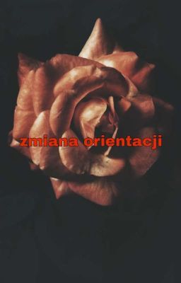 zmiana orientacji ( Porwanie)