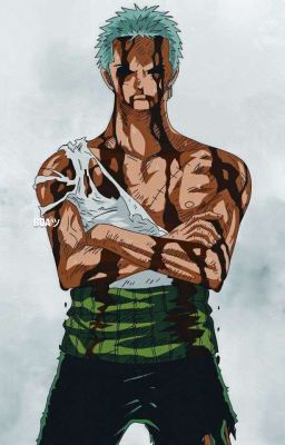 Zoro Died...