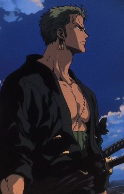 Zoro era um lutador . roronoa zoro