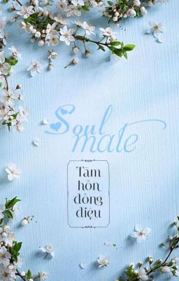 [ZSWW] SOULMATE (Tâm Hồn Đồng Điệu) - Hoàn