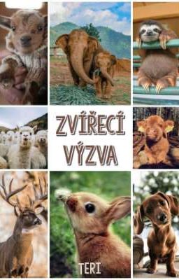 Zvířecí výzva [do soutěže]