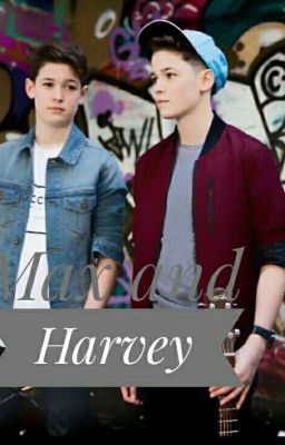 Zwischen Freundschaft und Liebe (Max And Harvey ff) (Abgeschlossen)