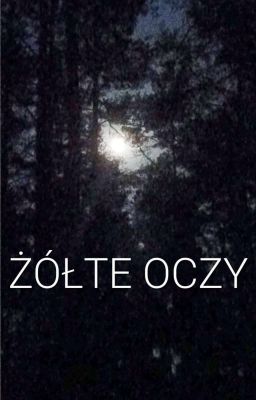 Żółte oczy 1 i 2