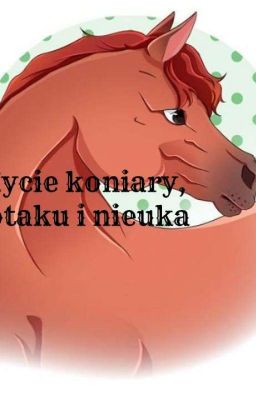 Życie koniary, otaku i nieuka 