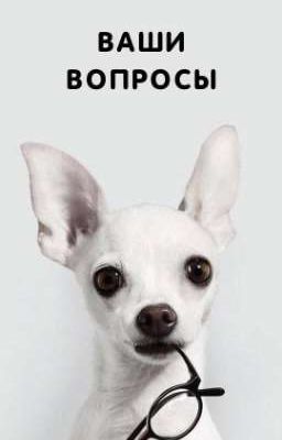 Ваши вопросы