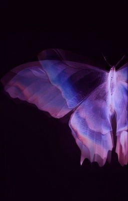 ٠࣪ꫂ 𝒕𝒓𝒂𝒏𝒔𝒇𝒊𝒄 𝒇𝒂𝒅𝒐 ᝰ.ᐟ room no.9;