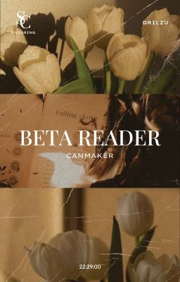 [敷秀 | 22:29] beta reader