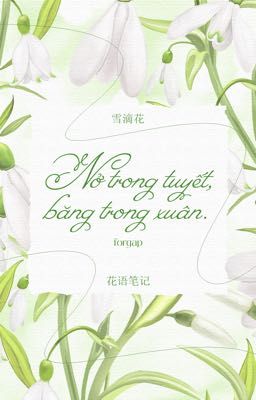 [花语笔记 / 10:00] Nở trong tuyết, băng trong xuân