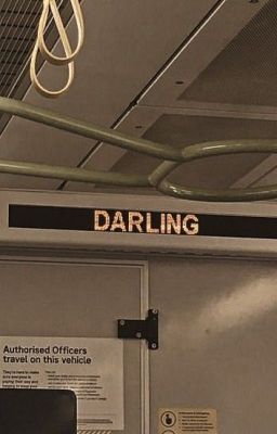 샤오시로 ⇥ darling