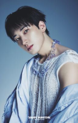 [세븐틴] 서로를 잃어버렸어 