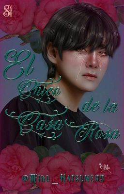  :･ﾟ✧El chico de la casa rosa