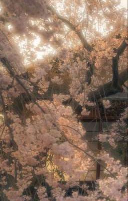  𐙚⋆°yeuem.⋆♡