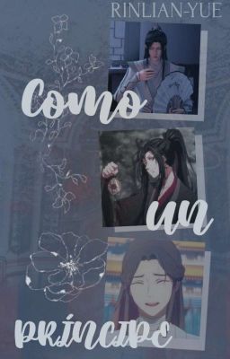 ❝𝐂𝐎𝐌𝐎 𝐔𝐍 𝐏𝐑𝐈𝐍𝐂𝐈𝐏𝐄❞ ⸻ MXTX [HIATUS]