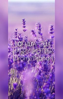 [𝐃𝐫𝐚𝐡𝐚𝐫] lời hứa của harry potter 