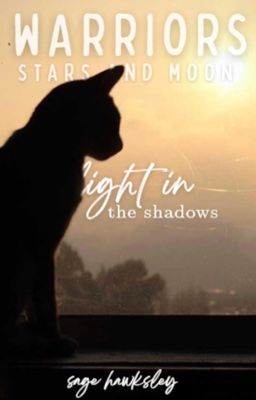 𝐋𝐈𝐆𝐇𝐓 𝐈𝐍 𝐓𝐇𝐄 𝐒𝐇𝐀𝐃𝐎𝐖𝐒, stars and moon 4