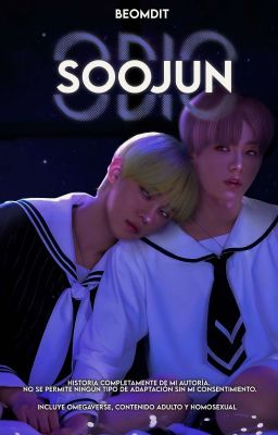 𝐎𝐃𝐈𝐎 • 「soojun」OS