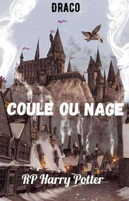 ❒│𝐑𝐏 𝐇𝐚𝐫𝐫𝐲 𝐏𝐨𝐭𝐭𝐞𝐫  ┉  Coule ou Nage