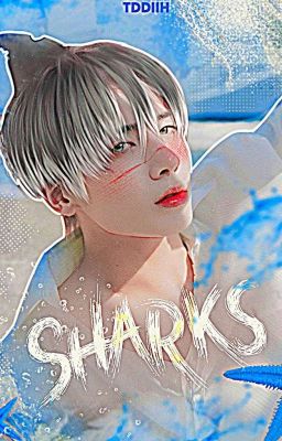 𝐒harks 🦈 ꒰ ᵗᵃᵉᵍʸᵘ ꒱ 