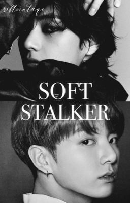 𝐒𝐎𝐅𝐓 𝐒𝐓𝐀𝐋𝐊𝐄𝐑  |  taekook  ( ✓ )