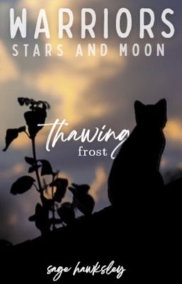 𝐓𝐇𝐀𝐖𝐈𝐍𝐆 𝐅𝐑𝐎𝐒𝐓, stars and moon 3