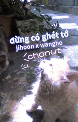  𝐜𝐡𝐨𝐧𝐮𝐭 | jeong jihoon đừng có mà ghét tớ 