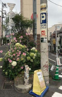 𝐣𝐮𝐬𝐭 𝐥𝐨𝐯𝐞