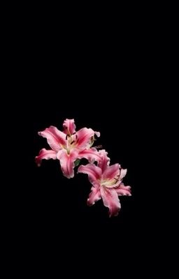 [ 𝐬𝐤𝐳 𝐱 𝐡𝐲𝐮𝐧𝐣𝐢𝐧 ] - 𝐬𝐡𝐨𝐰, 𝐝𝐨𝐧𝐭 𝐭𝐞𝐥𝐥