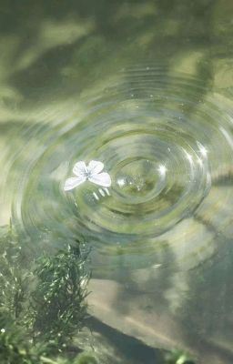 ⋆˚࿔ 𝓷𝓾𝓼𝓴𝓲𝓮𝓾 - 𝓸𝓬𝓮𝓪𝓷 𝓪𝓷𝓭 𝓻𝓸𝓼𝓮  𝜗𝜚˚⋆