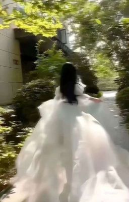 𝔐𝔞𝔰𝔬𝔫𝔅._.kiều thê bỏ trốn của bách tổng (abo)