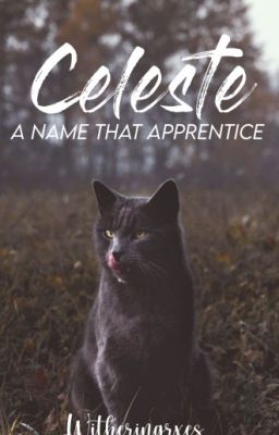 𝗖𝗲𝗹𝗲𝘀𝘁𝗲│A Name that Apprentice [On hold]