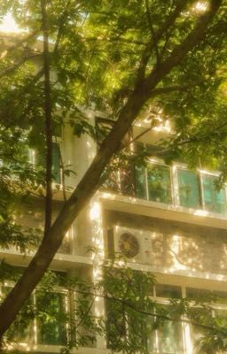 |𝘚𝘢𝘯𝘦𝘎𝘪𝘺𝘶𝘶| Nhật ký cua vợ của Sanemi