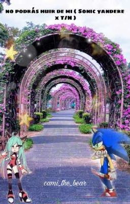 𝙽𝚘 𝚙𝚞𝚎𝚍𝚎𝚜 𝚑𝚞𝚒𝚛 𝚍𝚎 𝚖𝚒 ( Sonic yandere x T/N ) | en edición | 